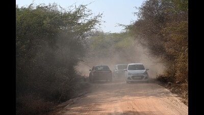HT reported on January 16 how hundreds of visitors were turning up and driving into the sanctuary, which is home to leopards, striped hyenas, and golden jackals. (Arvind Yadav/HT Photo) HT reported on January 16 how hundreds of visitors were turning up and driving into the sanctuary, which is home to leopards, striped hyenas, and golden jackals. (Arvind Yadav/HT Photo)
