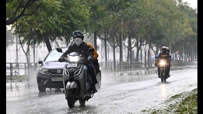Of the 37.9 mm rain, 27.6 mm was recorded on February 1 alone, making it the wettest February day in 11 years. (Sanjeev Sharma/HT) Of the 37.9 mm rain, 27.6 mm was recorded on February 1 alone, making it the wettest February day in 11 years. (Sanjeev Sharma/HT)