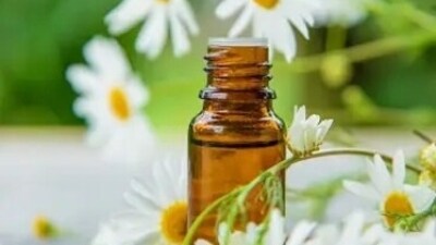 Chamomile has a calming effect on the body and helps in reducing signs of anxiety and stress. (Unsplash) Chamomile has a calming effect on the body and helps in reducing signs of anxiety and stress. (Unsplash)