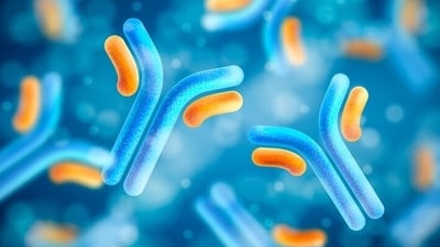 Candida auris is a type of yeast that can cause serious infections, particularly in hospital settings. (Freepik) Candida auris is a type of yeast that can cause serious infections, particularly in hospital settings. (Freepik)