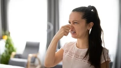 National Fart Day 2024: Date, history and significance (Unsplash) National Fart Day 2024: Date, history and significance (Unsplash)