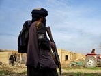 A Taliban security personnel watches a tractor squash opium plantations at a field in Arghandab district of Kandahar province on January 15, 2024. (Photo by Sanaullah SEIAM / AFP)