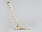 Inexplicable weight loss is linked with higher risk of fractures: Study
