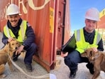 Members of the coast guard posing for the camera with the dog that they rescued. 