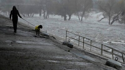 A man walks his dog on the edge of the Los Angeles River, carrying stormwater downstream Sunday, Feb. 4, 2024, in Los Angeles AP Photo/Damian Dovarganes) (AP) A man walks his dog on the edge of the Los Angeles River, carrying stormwater downstream Sunday, Feb. 4, 2024, in Los Angeles AP Photo/Damian Dovarganes) (AP)