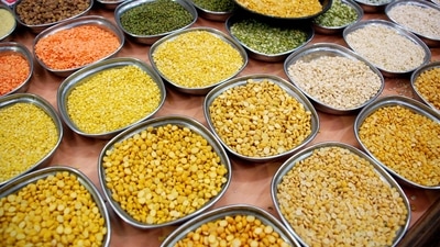 Schemes like PM-AASHA are meant to be activated only when prices of pulses and oilseeds fall below MSP levels (HT FILE/Bachchan Kumar) Schemes like PM-AASHA are meant to be activated only when prices of pulses and oilseeds fall below MSP levels (HT FILE/Bachchan Kumar)