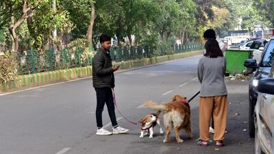 Pet parents have called for a reduction and said there should be exemptions from registrations in cases where people adopted abandoned pets during the pandemic and has been taking care of them since then. (Sakib Ali/HT Photo) Pet parents have called for a reduction and said there should be exemptions from registrations in cases where people adopted abandoned pets during the pandemic and has been taking care of them since then. (Sakib Ali/HT Photo)