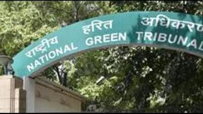 The NGT termed the public hearingMahagenc conducted in September 2019 to be not in accordance with the law. (File)