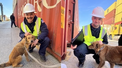 Members of the coast guard posing for the camera with the dog that they rescued. (Facebook/@uscgheartland) Members of the coast guard posing for the camera with the dog that they rescued. (Facebook/@uscgheartland)