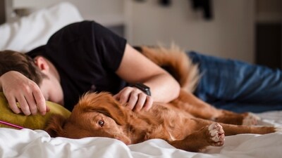 There are benefits to sharing a bed with your pet – as long as you’re scrupulously clean. (Unsplash)
