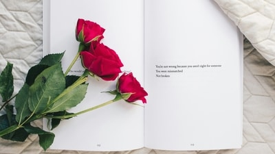 Rose Day marks the beginning of Valentine's Week, celebrated on February 7th each year. It is a day dedicated to the expression of love and affection through the exchange of roses. People gift roses to their loved ones as a symbol of their feelings, setting the tone for a week of romantic gestures. On this occasion, here are the meanings behind the different colours of roses. (Unsplash) Rose Day marks the beginning of Valentine's Week, celebrated on February 7th each year. It is a day dedicated to the expression of love and affection through the exchange of roses. People gift roses to their loved ones as a symbol of their feelings, setting the tone for a week of romantic gestures. On this occasion, here are the meanings behind the different colours of roses. (Unsplash)