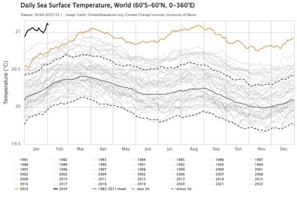 Mass bleaching events are strongly correlated with increased sea surface temperatures of 1°C or more above average. At the beginning of the year, the temperature has already spiked to 0.8°C above the pre-industrial average. (Credit: ClimateReanalyser)