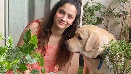 Ankita's pet dog Scotch passed away