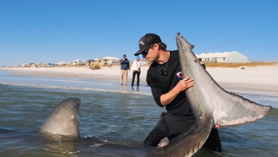 A shocking video shows a shark fishing expert single-handedly tackling a 1,200-pound, 12-foot great white shark on a Florida beach (Coastal Worldwide screenshot/YouTube)