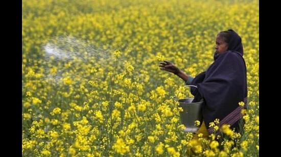 The government has also proposed an expenditure of ₹1,800 crore for supplying electricity at subsidised rates to private tube well consumers (farmers) and this is 20% more than the one provided in the current year’s Budget. (FOR REPRESENTATION)