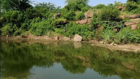 This was stated in a report submitted to the National Green Tribunal, which is hearing a plea by a resident who alleged that 93 villages were disposing of their sewage in the open. (HT Photo)