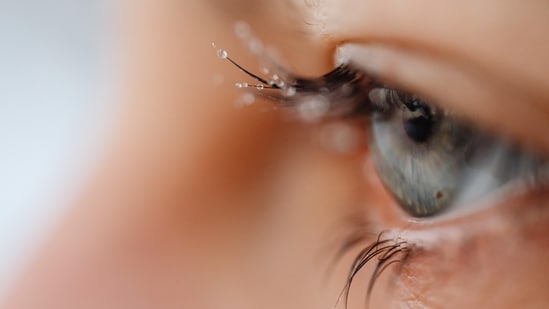 The retina is composed of ten distinct layers and can be considered an extension of the brain (Karolina Grabowska)