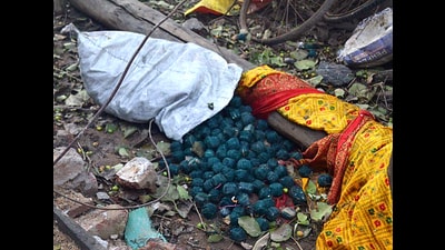 Explosive material at the site after a blast in a firecracker factory in Harda town, Madhya Pradesh on Tuesday (ANI) Explosive material at the site after a blast in a firecracker factory in Harda town, Madhya Pradesh on Tuesday (ANI)