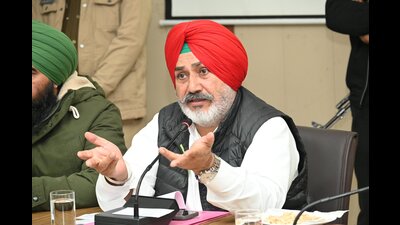 Minister Chetan Singh Jauramajra (File)