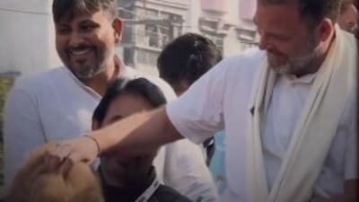 Rahul Gandhi is seen pettying a pup at a roadshow during his Bharat Jodo Nyay Yatra in Jharkhand. (X/Bharat Jodo Nyay Yatra) Rahul Gandhi is seen pettying a pup at a roadshow during his Bharat Jodo Nyay Yatra in Jharkhand. (X/Bharat Jodo Nyay Yatra)