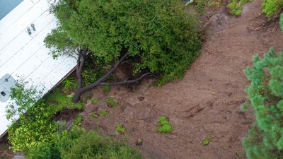 This aerial view shows a man shovelling mud after a landslide pushed a tree into his and his neighbor's houses as the second and more powerful of two atmospheric river storms inundates the Hollywood Hills of Los Angeles, California, on February 5. (AFP) This aerial view shows a man shovelling mud after a landslide pushed a tree into his and his neighbor's houses as the second and more powerful of two atmospheric river storms inundates the Hollywood Hills of Los Angeles, California, on February 5. (AFP)