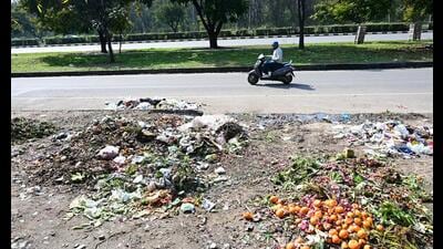 Waste lying on the roadside in Sector 40, Chandigarh. (Ravi Kumar/HT) Waste lying on the roadside in Sector 40, Chandigarh. (Ravi Kumar/HT)