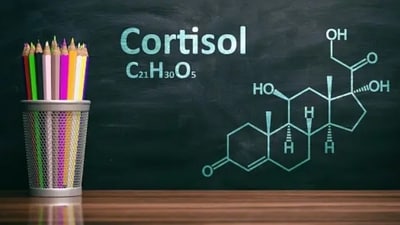 Cortisol can cause fat deposits and lead to more sugar cravings and decrease our metabolism rate. (Unsplash) Cortisol can cause fat deposits and lead to more sugar cravings and decrease our metabolism rate. (Unsplash)