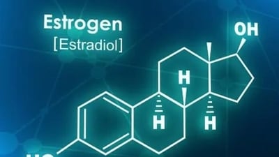 Estrogen contributes to glucose metabolism and insulin sensitivity. Low or high levels of Estrogen can lead to weight gain. (Unsplash) Estrogen contributes to glucose metabolism and insulin sensitivity. Low or high levels of Estrogen can lead to weight gain. (Unsplash)