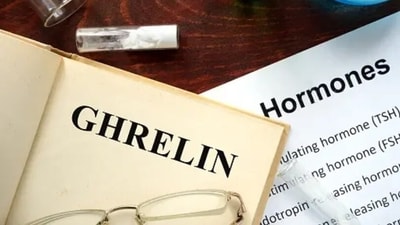 Ghrelin is the opposite of Leptin. Ghrelin is the hunger hormone, and the main function is to increase appetite. (Unsplash) Ghrelin is the opposite of Leptin. Ghrelin is the hunger hormone, and the main function is to increase appetite. (Unsplash)