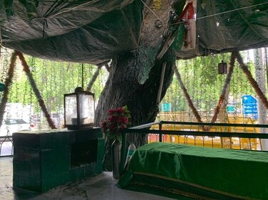 The shrine was cocooned by a leafy neem tree and shielded from the glaring sun by a roof of black cloth. (Mayank Austen Soofi)