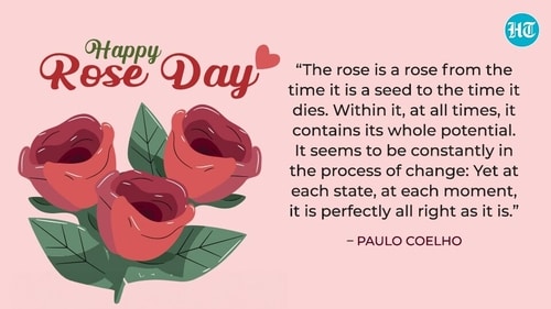 Different colours of roses have different meanings.