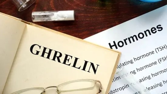 Ghrelin is the opposite of Leptin. Ghrelin is the hunger hormone, and the main function is to increase appetite.&nbsp;(Unsplash)