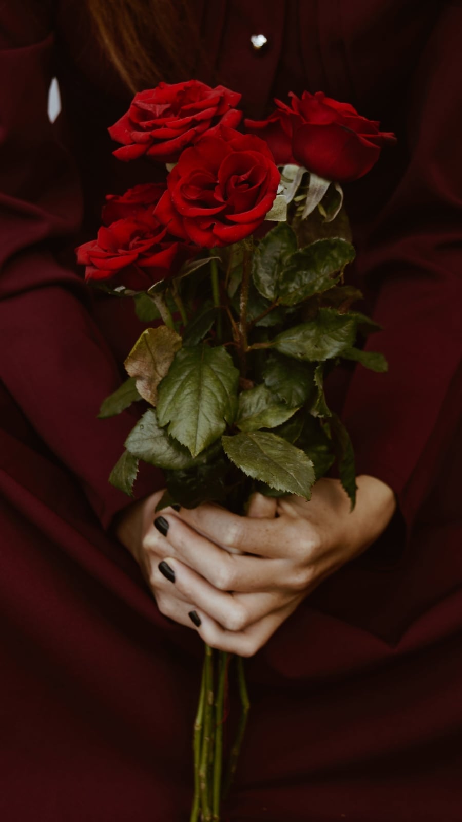 rose_cover