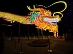 A man stands next to a dragon installation ahead of the Lunar New Year in Beijing, China February 7, 2024. 