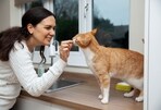 CBD use on the rise for pets, but safety and efficacy remain unclear
