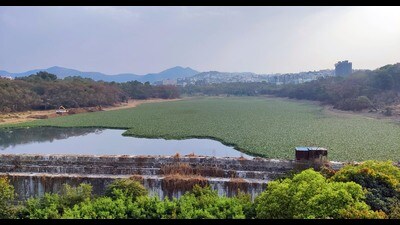 Currently, all three lakes are facing challenges like dumping of garbage and untreated sewage, encroachment, and excessive aquatic flora such as water hyacinth during the summers. (HT PHOTO) Currently, all three lakes are facing challenges like dumping of garbage and untreated sewage, encroachment, and excessive aquatic flora such as water hyacinth during the summers. (HT PHOTO)