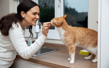 CBD use on the rise for pets, but safety and efficacy remain unclear (Freepik) CBD use on the rise for pets, but safety and efficacy remain unclear (Freepik)