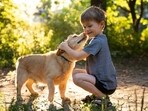 Playing with a dog can reduce stress levels in children and promote flow of feel-good hormones