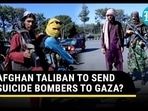 AFGHAN TALIBAN TO SEND SUICIDE BOMBERS TO GAZA? AFGHAN TALIBAN TO SEND SUICIDE BOMBERS TO GAZA?