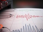 The earthquake was at a depth of 10 km, NCS said. The earthquake was at a depth of 10 km, NCS said.