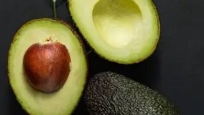 Avocados are awesome in a variety of ways. From lowering cholesterol levels in your blood, controlling blood pressure to giving a distinct glow to your skin and hair, avocado is a 'super-fruit' you must add to your diet. Nutritionist Bhakti Arora Kapoor shares benefits of the fruit. (Unsplash) Avocados are awesome in a variety of ways. From lowering cholesterol levels in your blood, controlling blood pressure to giving a distinct glow to your skin and hair, avocado is a 'super-fruit' you must add to your diet. Nutritionist Bhakti Arora Kapoor shares benefits of the fruit. (Unsplash)