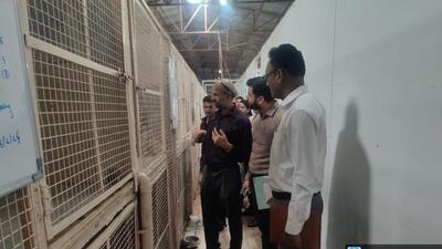 Following complaints in handling stray dogs related to NGO UAWS, central committee under AWB visited Pune. (HT) Following complaints in handling stray dogs related to NGO UAWS, central committee under AWB visited Pune. (HT)