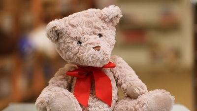 Teddy Day 2024: Date, history and significance (Unsplash)