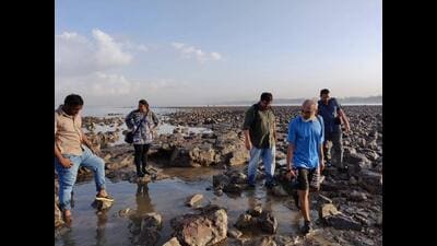 Awareness about the marine ecosystem closer to the coast is more important than ever, says Modi. As with the partial opening of the Coastal Road project on February 19 by Prime Minister Narendra Modi, other coastal projects loom large. The landfilling done poses a great threat to biodiversity. (HT Photo) Awareness about the marine ecosystem closer to the coast is more important than ever, says Modi. As with the partial opening of the Coastal Road project on February 19 by Prime Minister Narendra Modi, other coastal projects loom large. The landfilling done poses a great threat to biodiversity. (HT Photo)