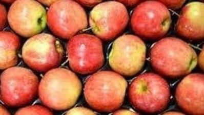 Apples: Rich in antioxidants and fibre, apples support a clean respiratory system and help eliminate mucus from your system. (HT File) Apples: Rich in antioxidants and fibre, apples support a clean respiratory system and help eliminate mucus from your system. (HT File)