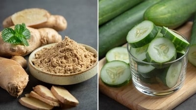 "Embrace the magic of your body's self-cleaning system! Did you know that mucus plays a crucial role in trapping toxins and keeping your respiratory system healthy? However, sometimes our body needs a little boost to flush out excess mucus. Enter the vibrant world of foods that can naturally support this process!" says Nutritionist Bhakti Arora Kapoor in her recent Instagram post. (Freepik) "Embrace the magic of your body's self-cleaning system! Did you know that mucus plays a crucial role in trapping toxins and keeping your respiratory system healthy? However, sometimes our body needs a little boost to flush out excess mucus. Enter the vibrant world of foods that can naturally support this process!" says Nutritionist Bhakti Arora Kapoor in her recent Instagram post. (Freepik)