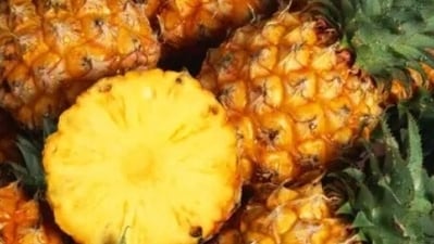 Pineapple: The juicy and delicious fruits have bromelain, an enzyme that helps break down mucus. (Unsplash) Pineapple: The juicy and delicious fruits have bromelain, an enzyme that helps break down mucus. (Unsplash)