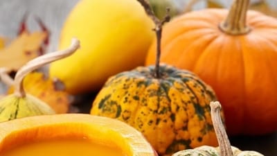 Pumpkin: High in vitamin A, pumpkin supports mucous membrane health. Include it in vegetables or soup to get maximum benefits. (Getty Images/iStockphoto (PIC FOR REPRESENTATION)) Pumpkin: High in vitamin A, pumpkin supports mucous membrane health. Include it in vegetables or soup to get maximum benefits. (Getty Images/iStockphoto (PIC FOR REPRESENTATION))