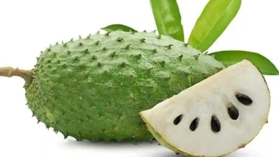 Soursop: Known for its detoxifying effects, soursop aids in flushing out toxins. (Unsplash) Soursop: Known for its detoxifying effects, soursop aids in flushing out toxins. (Unsplash)