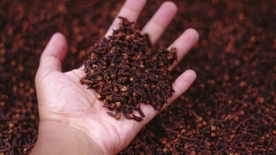 Cloves are rich in anti-inflammatory compounds, and are perfect to manage sore throat, cough and cold.&nbsp; (Unsplash)
